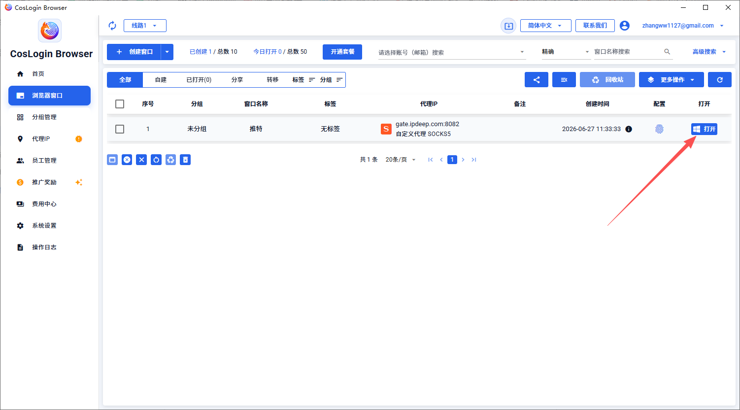 ipnut-coslogin-08-window-opened-zh.png